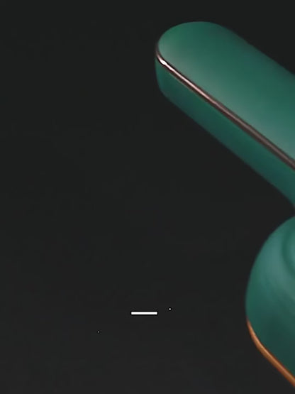 Portable Steamer Iron